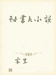 秘书h小说