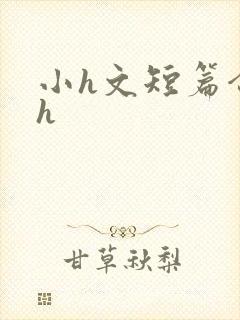 小h文短篇合集h