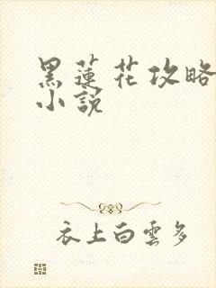 黑莲花攻略手册小说