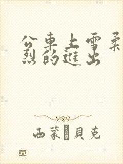 公车上雪柔被猛烈的进出