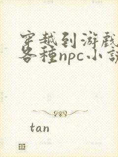 穿越到游戏里和各种npc小说