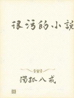 很污的小说
