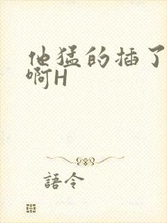 他猛的插了进去啊H