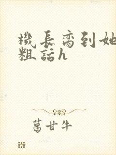 机长脔到她哭h粗话h