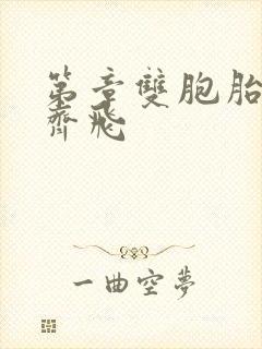 第章双胞胎姐妹齐飞