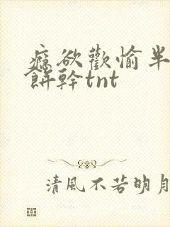 瘾欲欢愉半块小饼干tnt