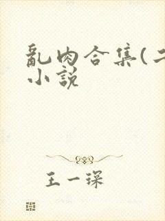 乱肉合集(二)小说