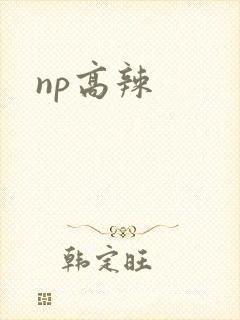 np高辣