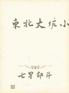 东北大坑小说