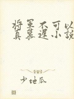 将军不可以魏云真慕迟小说笔趣阁