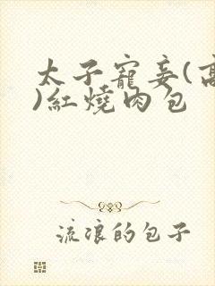 太子宠妾(高肉)红烧肉包