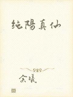 纯阳真仙
