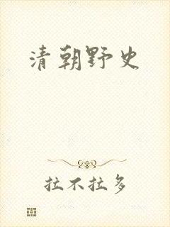 清朝野史