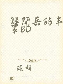 解开岳的丰满奶罩BD