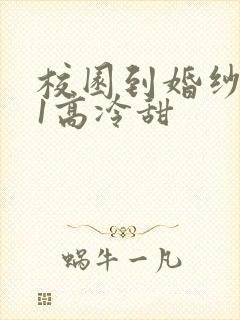 校园到婚纱1V1高冷甜