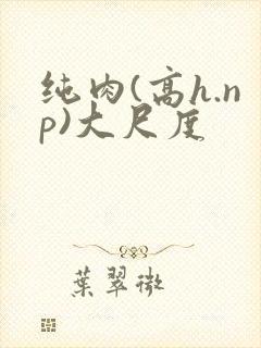 纯肉(高h.np)大尺度