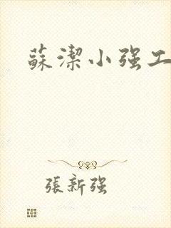 苏洁小强工地情