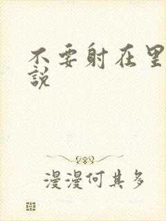 不要射在里面小说