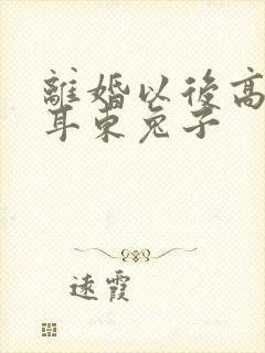 离婚以后高干 耳东兔子