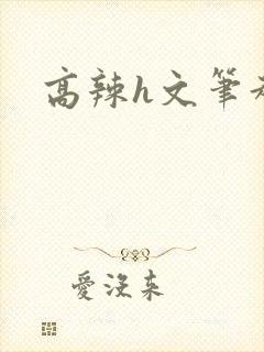 高辣h文笔趣阁