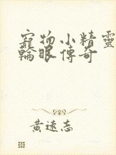 宠物小精灵之写轮眼传奇