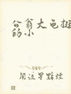公翁大龟挺进我的小