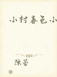 小村春色小说