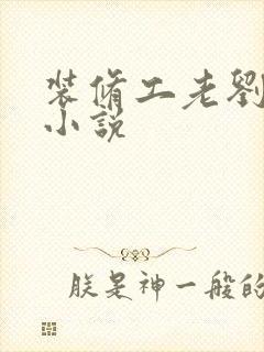 装修工老刘林雪小说