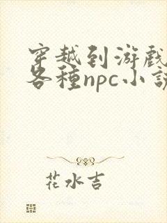 穿越到游戏里和各种npc小说