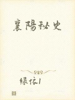 襄阳秘史