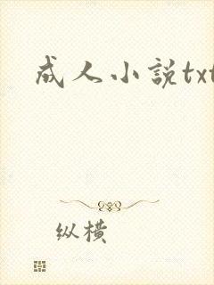 成人小说txt