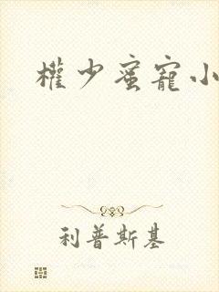 权少蜜宠小娇妻