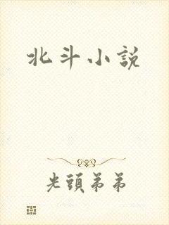 北斗小说