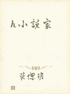 h小说家