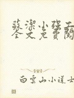 苏洁小强工地情全文免费阅读