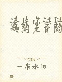 港片你洪兴仔笔趣阁免费阅读全文