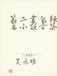 第二书包辣网短篇小说合集