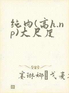 纯肉(高h.np)大尺度