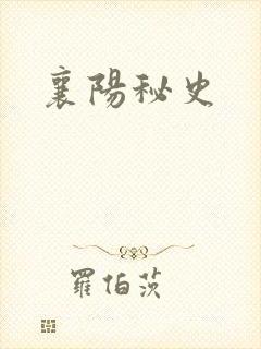 襄阳秘史
