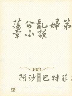 荡公乱妇第51章小说