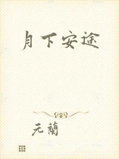 月下安途