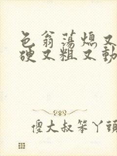 色翁荡熄又大又硬又粗又动态图