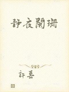 静夜阑珊