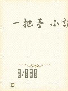 一把手 小说