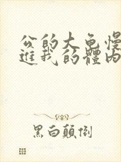 公的大龟慢慢挺进我的体内