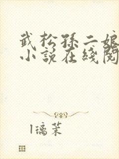 武松孙二娘云雨小说在线阅读