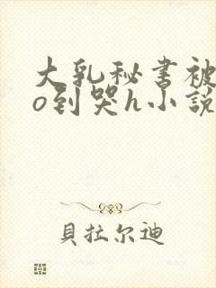 大乳秘书被cao到哭h小说