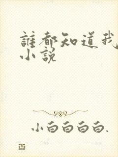 谁都知道我爱你小说