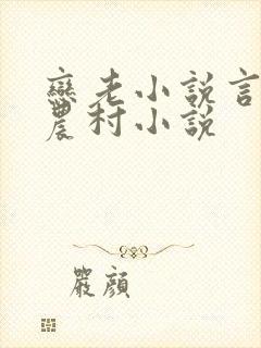 恋老小说言情网农村小说