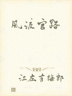 风流官路
